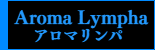 男性セラピスト出張アロマリンパマッサージ